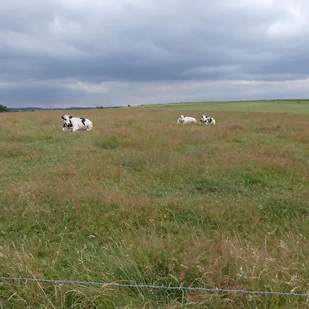 Vakantiewoning Amarillo